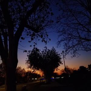 渴望被爱得用力