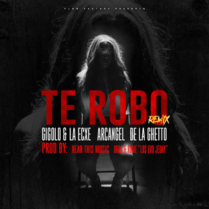 Te Robo (Remix)