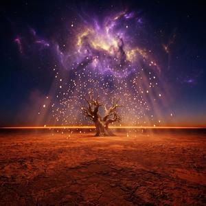 Infinite Sands