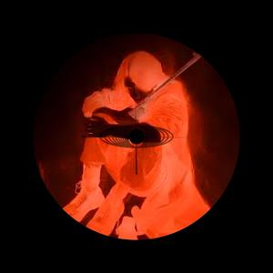 dikey hiyerarşiyi reddet