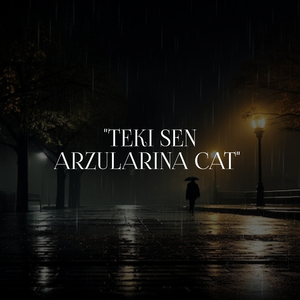 Teki Sen Arzularina Cat