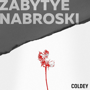 Zabytye Nabroski