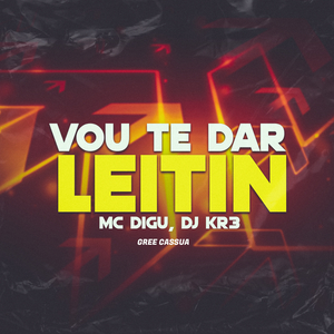 Vou Te Dar Leitin