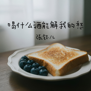 喝什么酒能解我的愁