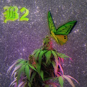 LOVE STORY (50 Shade of Based)