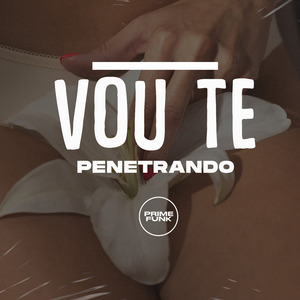 Vou Te Penetrando