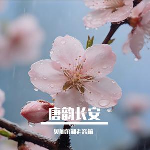 唐韵长安