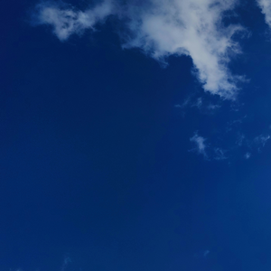 그곳을 얼른 빠져나와!!!더 좋은 사람들을 만나야지!!!