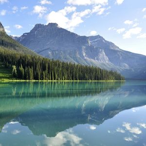 Morning Bathed in Sunlight