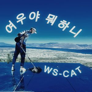 ELEVEN（磁性男声 cover：IVE）