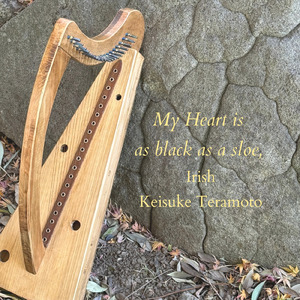 「私の心はスローベリーのように黒い」My Heart is as black as a sloe, Irish