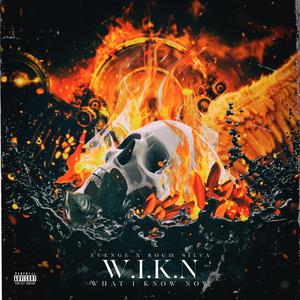 W.I.K.N (feat. Roger Silva)
