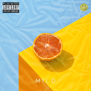 Mild | R&B Guitar Type Beat