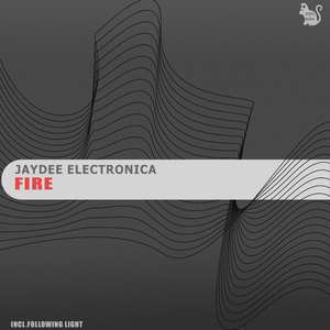 Fire (Following Light Remix)