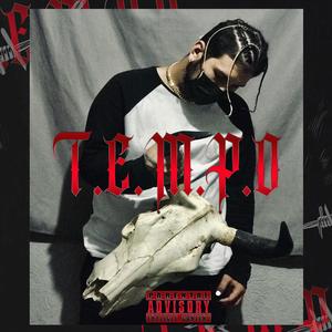T.E.M.P.O