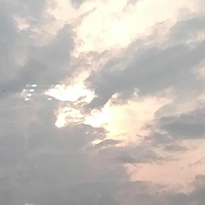 清晨、露珠和风