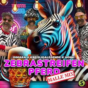 Zebrastreifenpferd (Malle Mix)