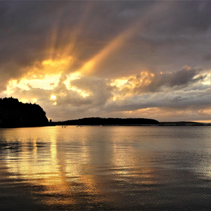 Fishermen Ships Sailing in the Mist of Cold Sea