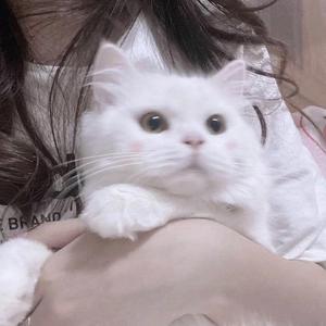 寻屿（翻自 阿YueYue）