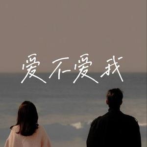 爱不爱我 (男摇滚)