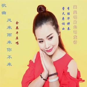 风来雨来你不来（余英平混音版）