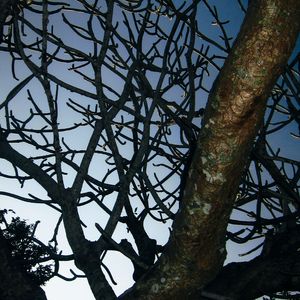 我们坐在金鱼缸前看海（街头招式beat9）