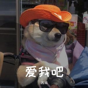 爱我吧（万玛 remix）