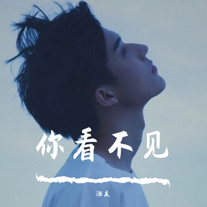 你看不见