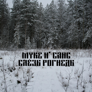 Слёзы Рогнеды