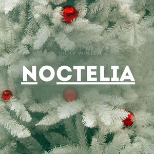 Шёлковая зима, фоновая музыка для вечера