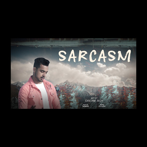 Sarcasm