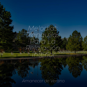 Brilloso Zen