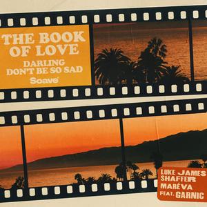 The Book Of Love (Darling Don't Be So Sad) (feat. Garnic)