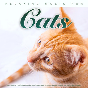 Music For Cats