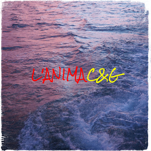 L'ANIMA