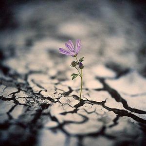 苦难专挑苦命人