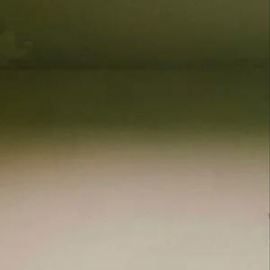 开始懂了 杜宣达