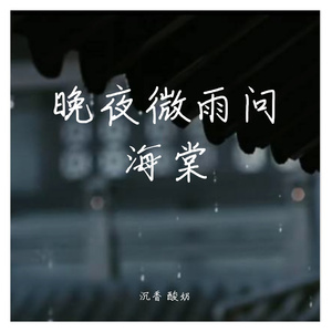 晚夜微雨问海棠
