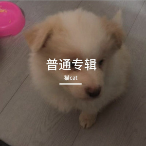 你给的温暖像件旧毛衣