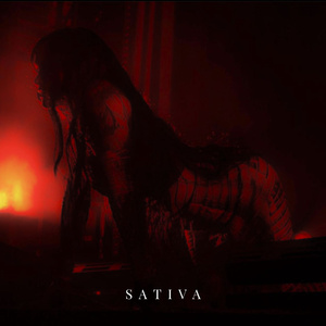 Sativa