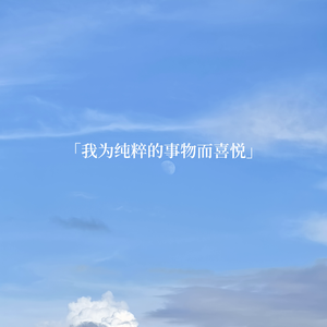 我为纯粹的事物而喜悦