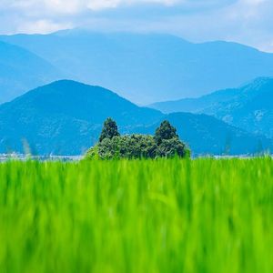 《奇幻竖琴与和声编织的开放魔法之境》012