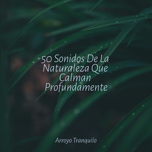 Alas Caprichosas Y Cosas Maravillosas