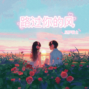 路过你的风