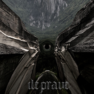 Жирная крыса