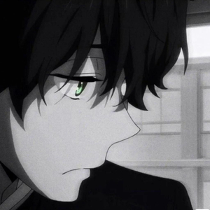 我追随的光 是五角星的光