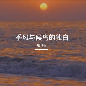 季风与候鸟的独白