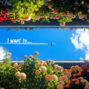 I want to...（我想）