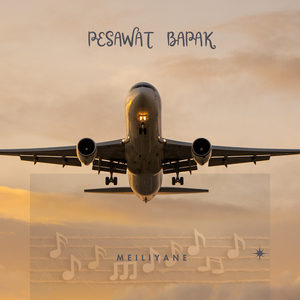 Pesawat Bapak