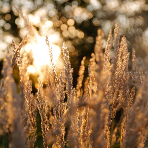 가을이 지나가는 소리